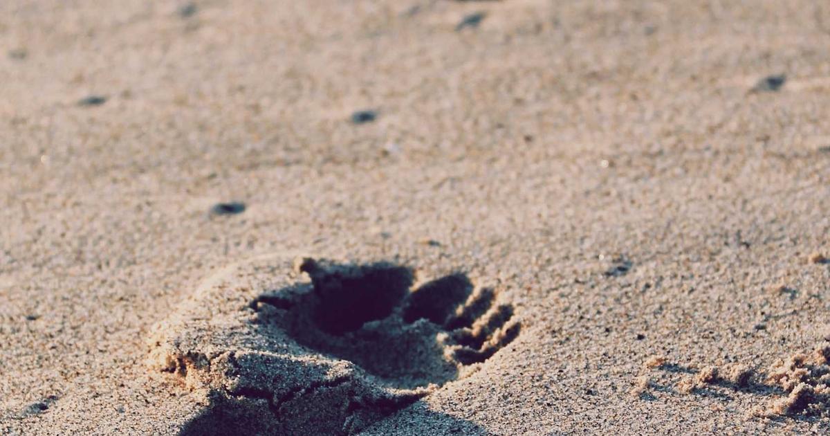 Фото к статье: Как найти компанию в горы