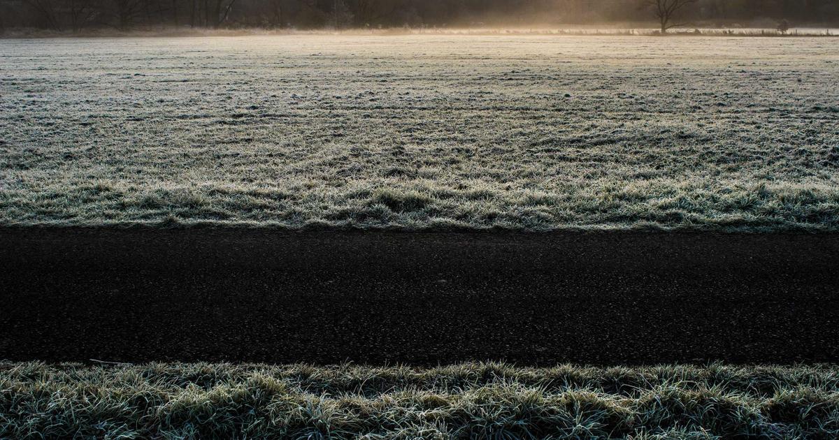 Фото к статье: Как найти компанию на городской забег